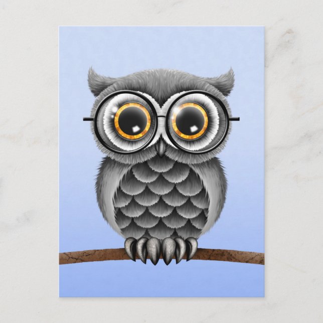 Cute Fluffy Grey Owl with Glasses, Light Blue Postcard (Front)