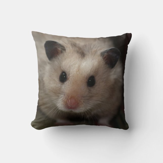 Cute Fluffy Hamster Cushion (Front)