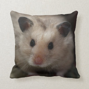 Long Haired Syrian Hamster Gifts On Zazzle Nz