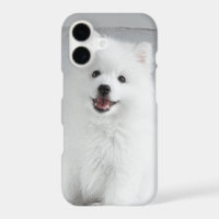 Cute Fluffy Japanese Spitz Puppy