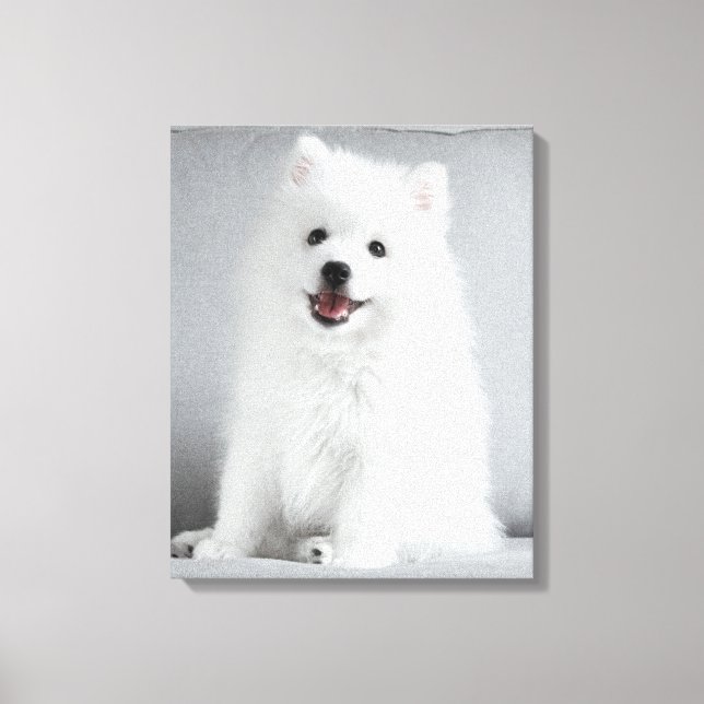 Cute Fluffy Japanese Spitz Puppy Canvas Print (Front)