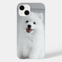 Cute Fluffy Japanese Spitz Puppy