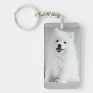 Cute Fluffy Japanese Spitz Puppy Key Ring