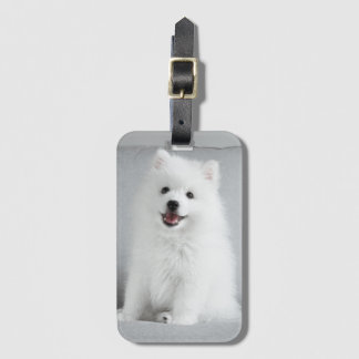 Cute Fluffy Japanese Spitz Puppy Luggage Tag