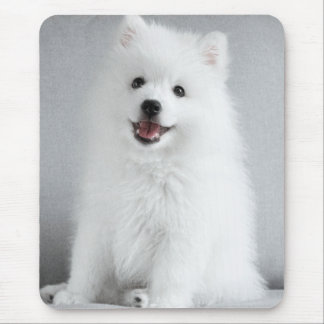 Cute Fluffy Japanese Spitz Puppy Mouse Pad