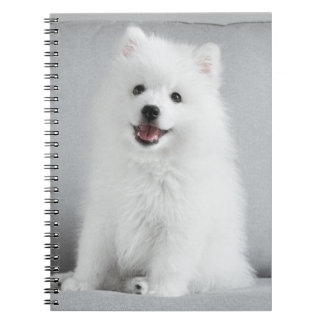 Cute Fluffy Japanese Spitz Puppy Notebook