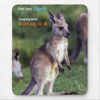 Cute fluffy joey Kangaroo
