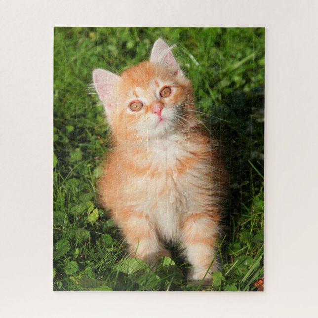 Cute Fluffy Orange Tabby Cat Kitten Jigsaw Puzzle (Vertical)