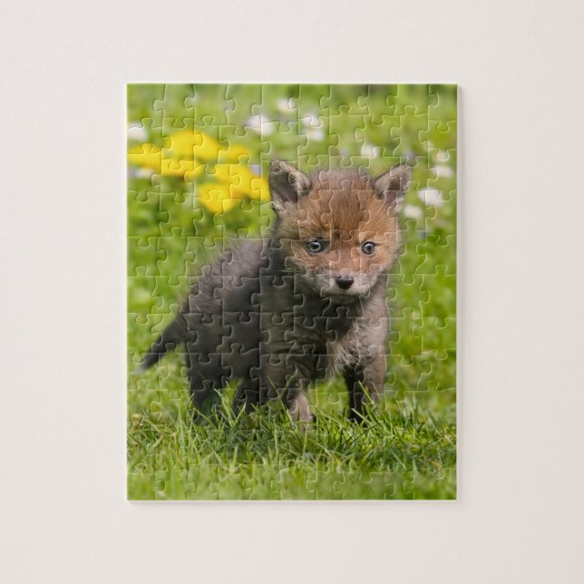 Cute Fluffy Red Fox Cub Wild Baby Animal Game 8x10 Jigsaw Puzzle (Vertical)