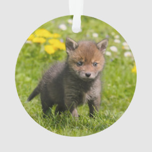 Cute Fluffy Red Fox Cub Wild Baby Animal - Ornament