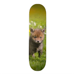 Cute Fluffy Red Fox Cub Wild Baby Animal Photo - Skateboard