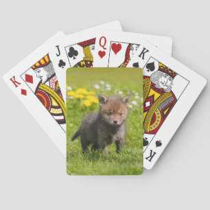 Cute Fluffy Red Fox Cub Wild Baby Animal, Playing Cards