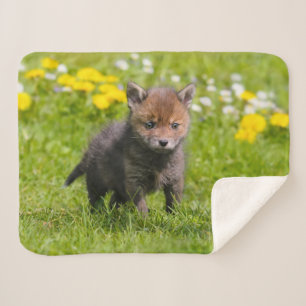 Cute Fluffy Red Fox Kit Cub Wild Baby Animal Photo Sherpa Blanket