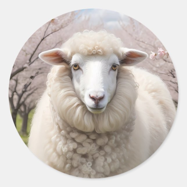 Cute Fluffy Sheep Classic Round Sticker (Front)