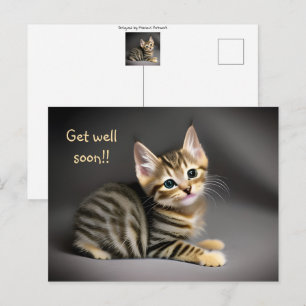 Cute fluffy tabby cat baby "get well soon"  postcard