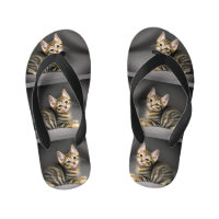 Cute fluffy tabby cat baby