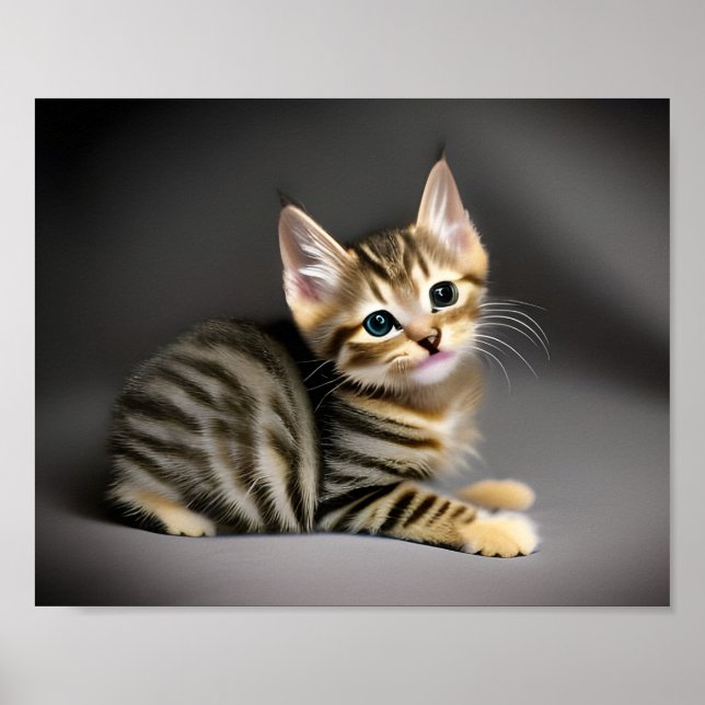 Cute fluffy tabby cat baby  poster (Front)