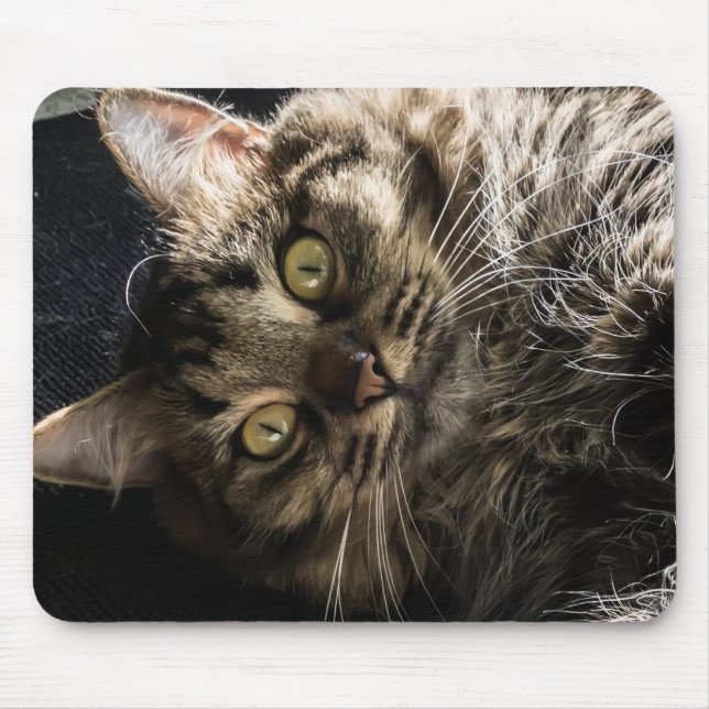 Cute Fluffy Tabby Cat  Mouse Pad (Front)