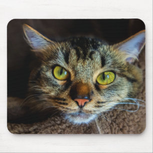 Cute Fluffy Tabby Cat Mouse Pad