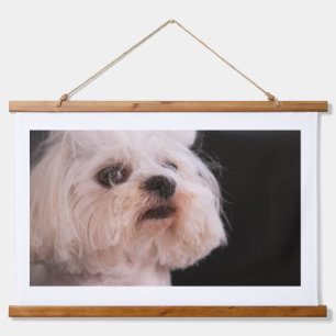 Cute Fluffy White Dog Portrait Adorable Puppy Lo Hanging Tapestry