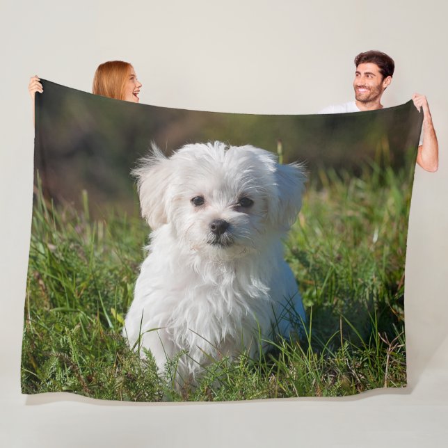 Cute Fluffy White Maltese Puppy Dog Fleece Blanket (In Situ)