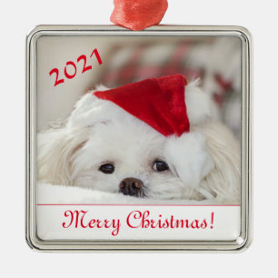 Cute Fluffy White Maltese Puppy Dog in a Santa Hat Metal Tree Decoration