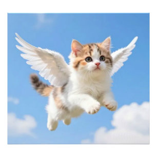 Cute Flying Kitten Calico Tabby Blue Sky Photo Print