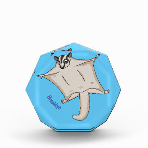 Cute flying sugar glider cartoon illustration photo block