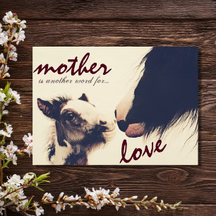 Cute Foal and Mare Horse Happy Mother's Day Card