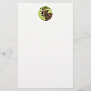 CUTE FOAL STATIONERY