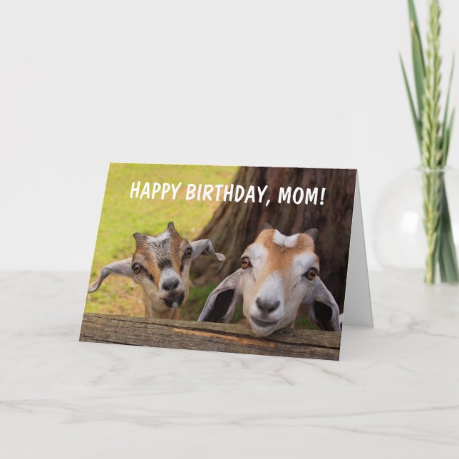 Cute "For Mum" Baby Goat Birthday Card (Front)