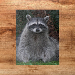 Cute Forest Racoon Nature Jigsaw Puzzle