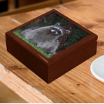 Cute Forest Racoon Wildlife Photo Gift Box<br><div class="desc">Store trinkets,  jewellery and other small keepsakes in this wooden gift box with ceramic tile featuring the photo image of a cute,  forest Racoon posing for the camera. Select your gift box size and colour.</div>