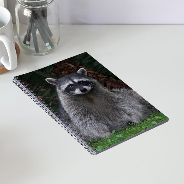 Cute Forest Racoon Wildlife Photo Notebook (In Situ)