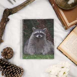 Cute Forest Racoon Wildlife Photo Notebook