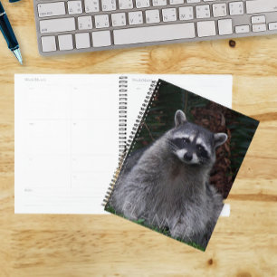 Cute Forest Racoon Wildlife Photo Planner