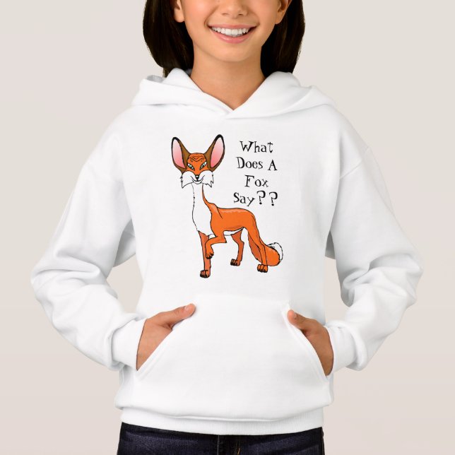 Cute Fox Design Hoodie for Kids (Front)