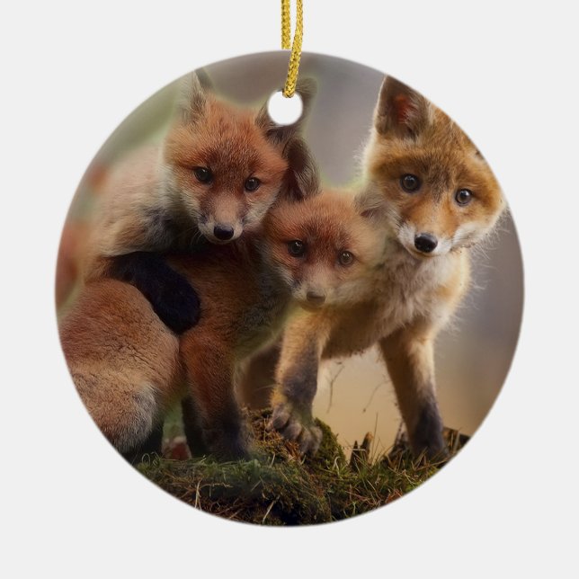 Cute Fox Family Ceramic Tree Decoration (Front)