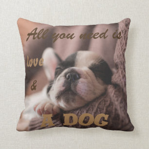 Cute french bulldog   all you need is... cushion