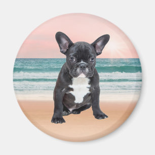 Cute French Bulldog Beach Sun Water Magnet