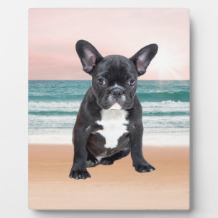 Cute French Bulldog Beach Sun Water Plaque