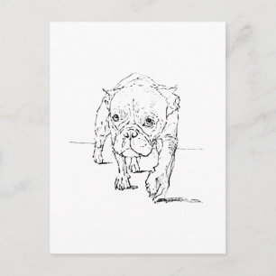 Cute French Bulldog, Dog Illustration  Postcard