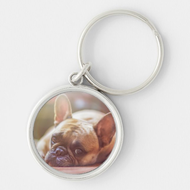 Cute French Bulldog Face, Lying Down Key Ring (Front)