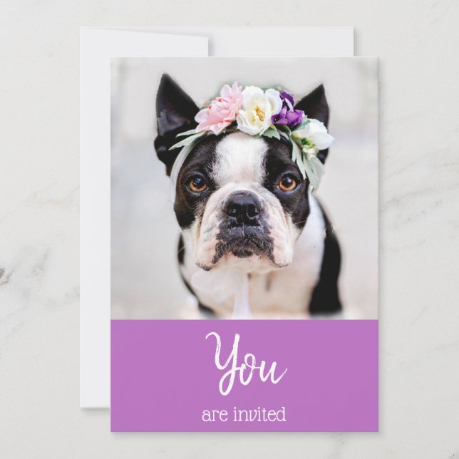 *~* Cute French Bulldog  Frenchie Event Invitation (Front)