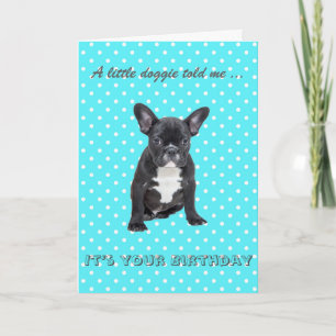 Cute French Bulldog Happy Birthday Greeting Card