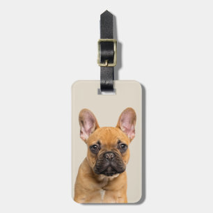 Cute French Bulldog Luggage Tag