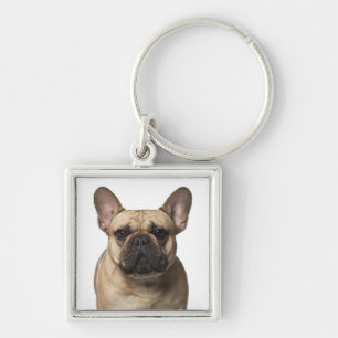 Cute French Bulldog Mom Frenchie Dad Puppy Dog Key Ring