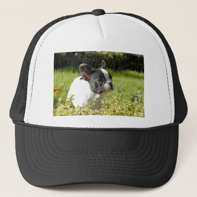 Cute French bulldog on grass Trucker Hat (Front)