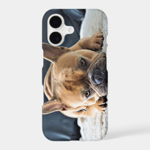 Cute French Bulldog Photo Phone Case