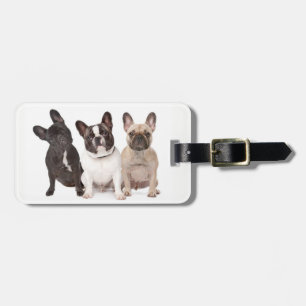 Cute French Bulldog Puppies Luggage Tag